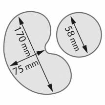 Szatkownica do warzyw cl50 550 w 230v375 obr/min 20-300 posiłków [ Stalgast] - Centrum Wyposażenia Sklepów (3)
